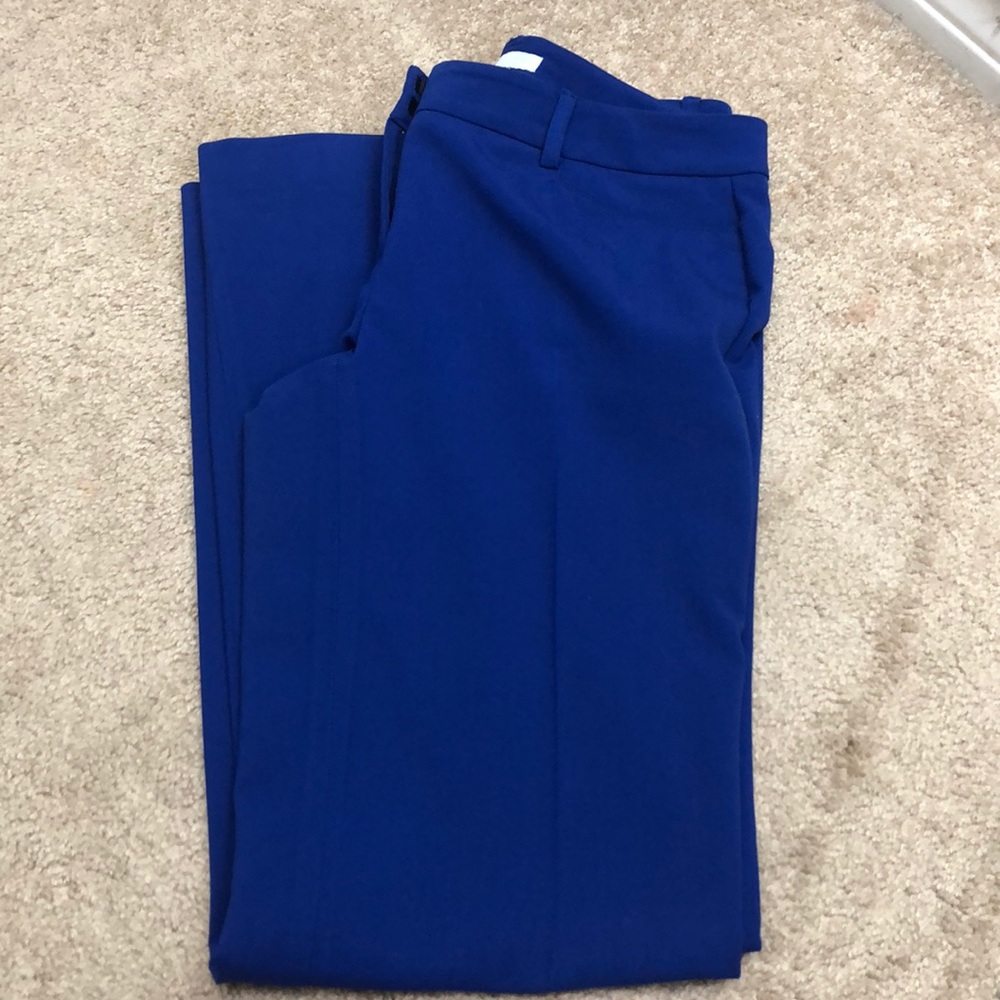 New York and Company electric blue pants